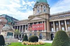 IMG_20230413_111256