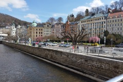 IMG_20230410_122518
